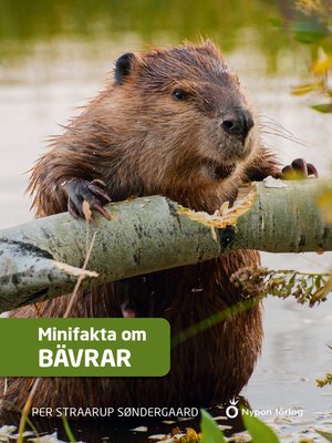 cover image of Minifakta om bävrar